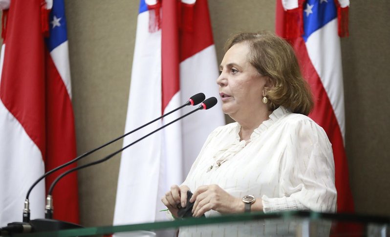 08 Comissão de Educação da Assembleia Legislativa do Amazonas anuncia planejamento para 2022 e1644428842839