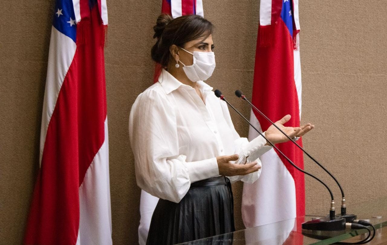 12 Dep. Nejmi Aziz Transparência reconhecimento e homenagem às vítimas da Covid 19 são destaques das propostas de PLs da Deputada Nejmi Aziz e1643747538901