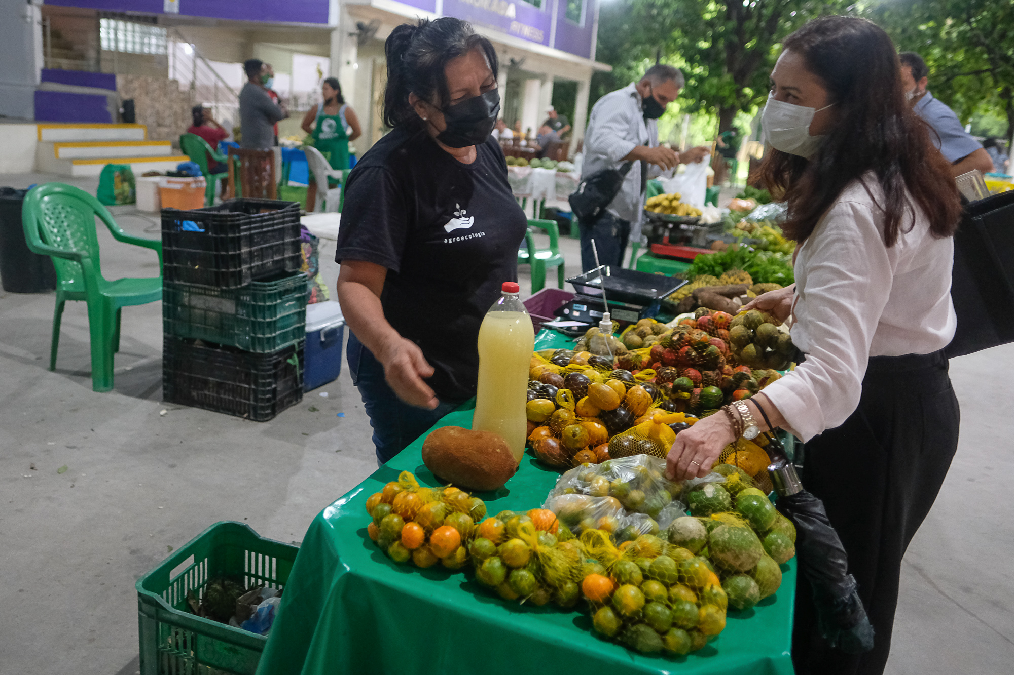 05 Agricultura amazonense se beneficia com Projetos e Leis criados na Aleam