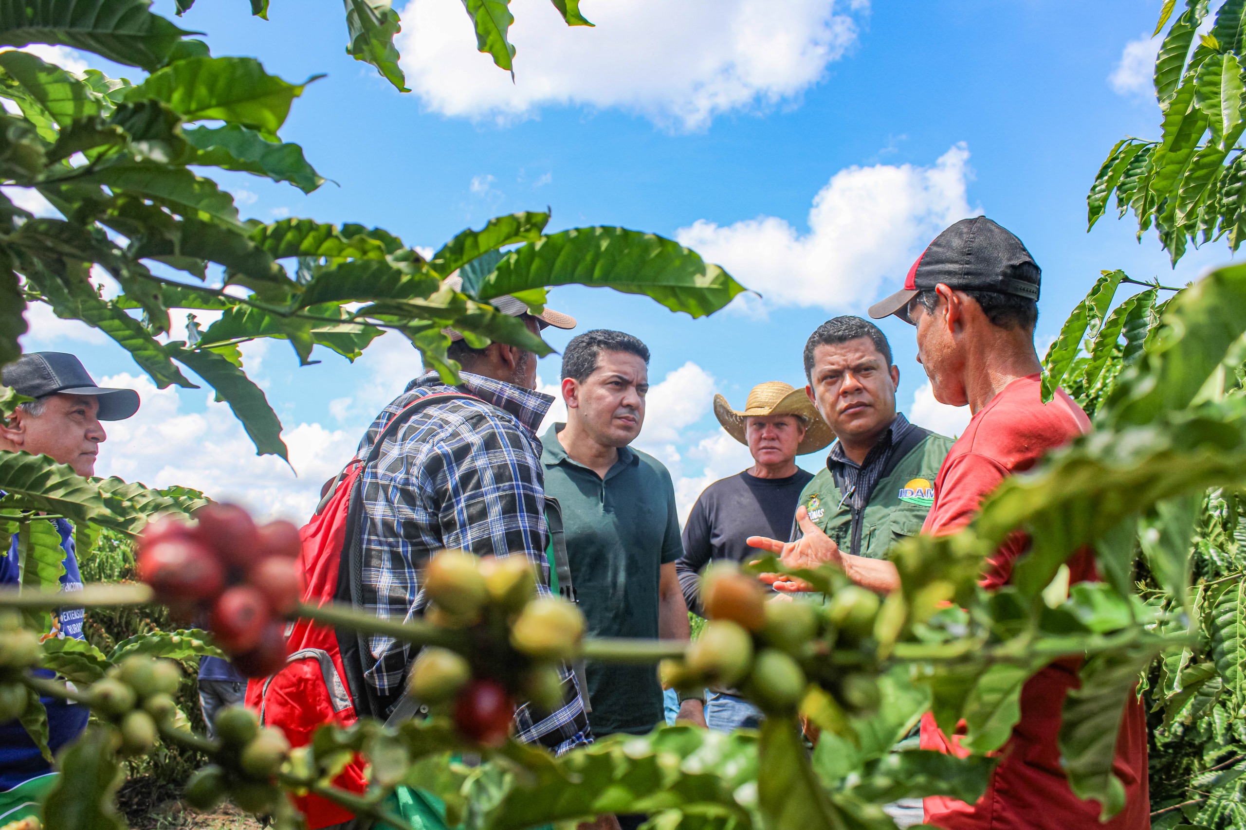 Emendas parlamentares de Delegado Pericles seguem impulsionando producao de cafe no Distrito de Realidade