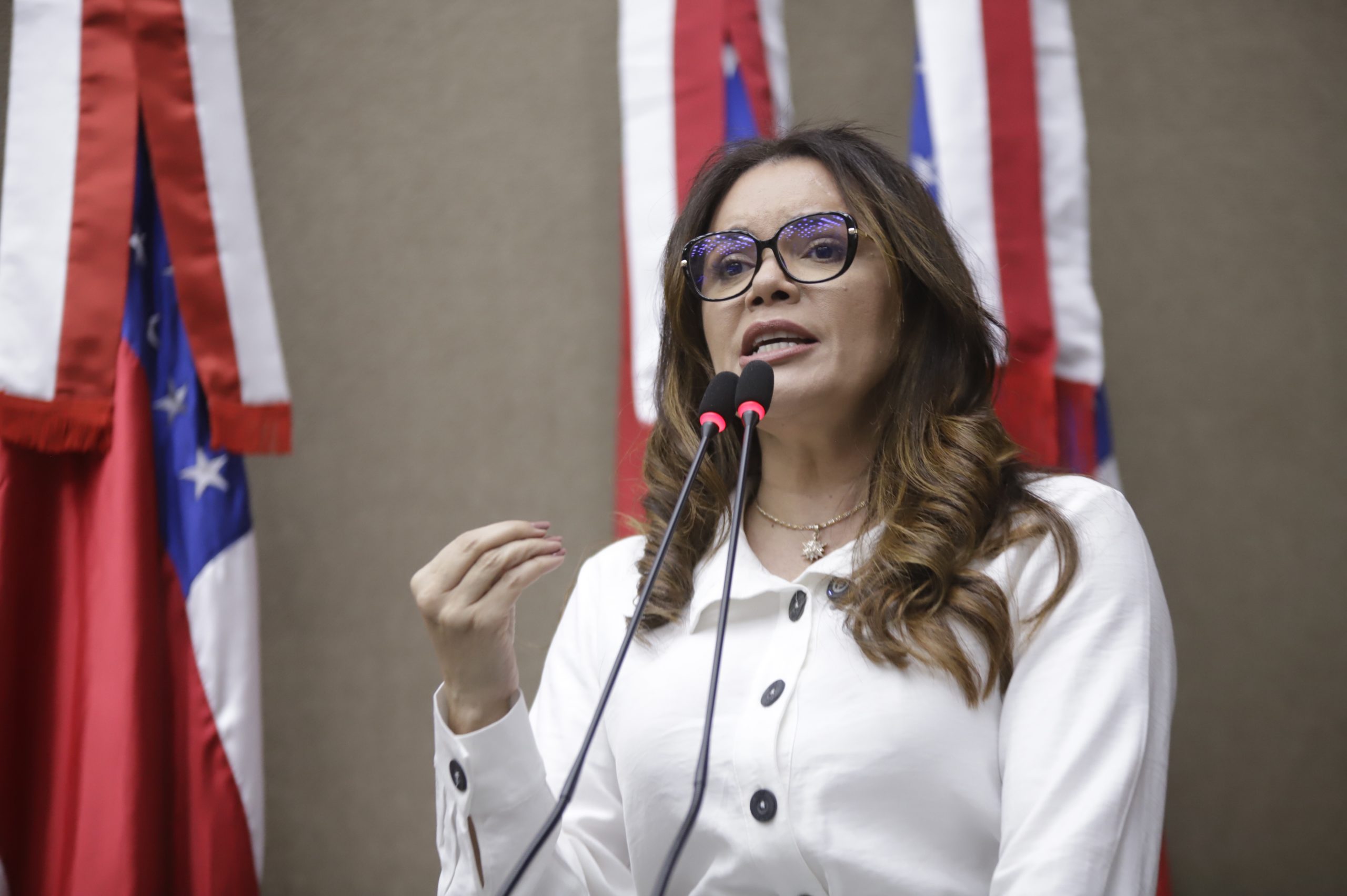 Violencia contra as mulheres domina debates na Assembleia Legislativa do Amazonas nesta quarta feira Foto Danilo Mello Aleam scaled