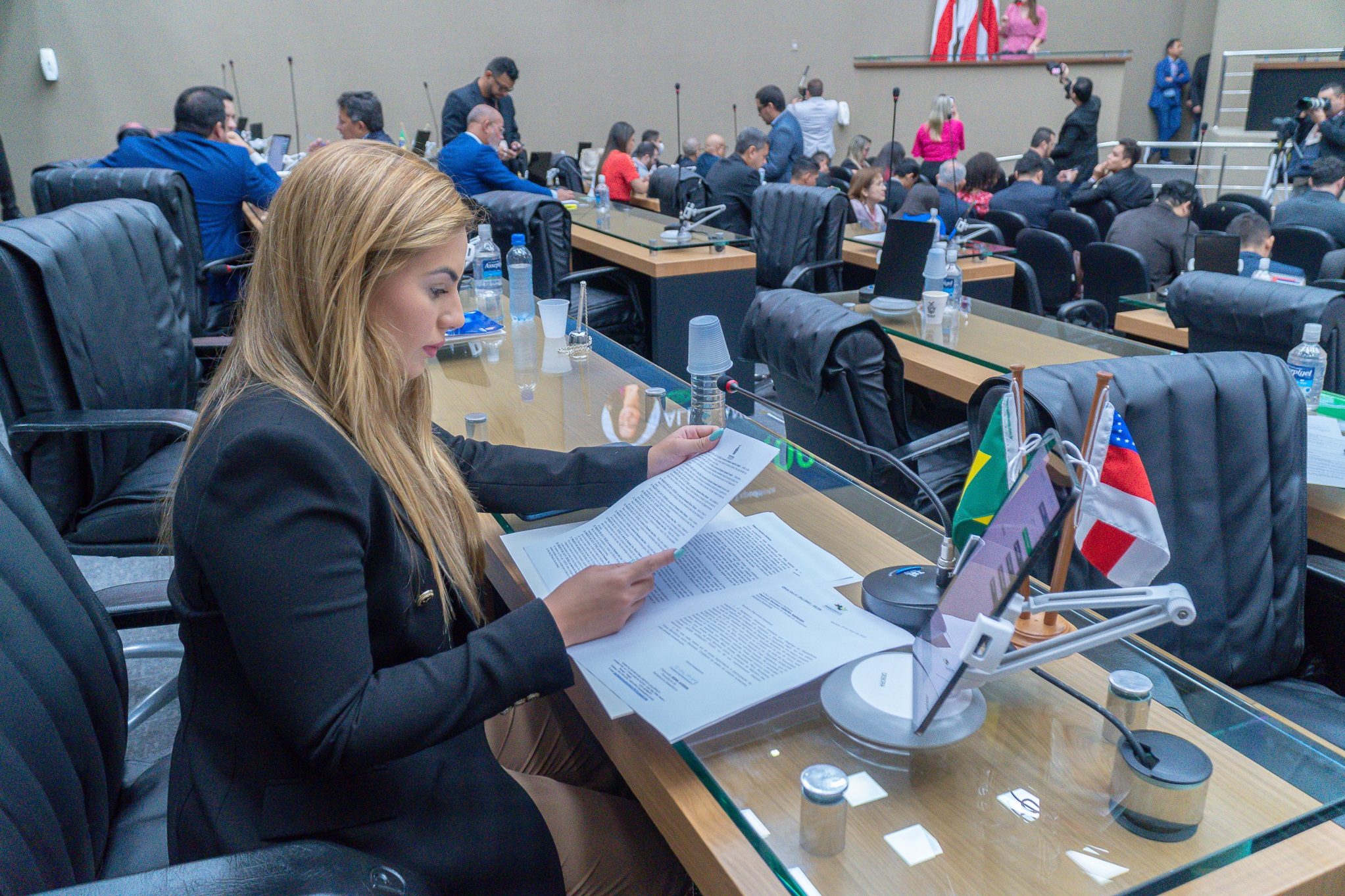 Deputada Debora Menezes denuncia acoes do Ibama e cobra regularizacao fundiaria no Sul do Amazonas Foto Hercules Andrade