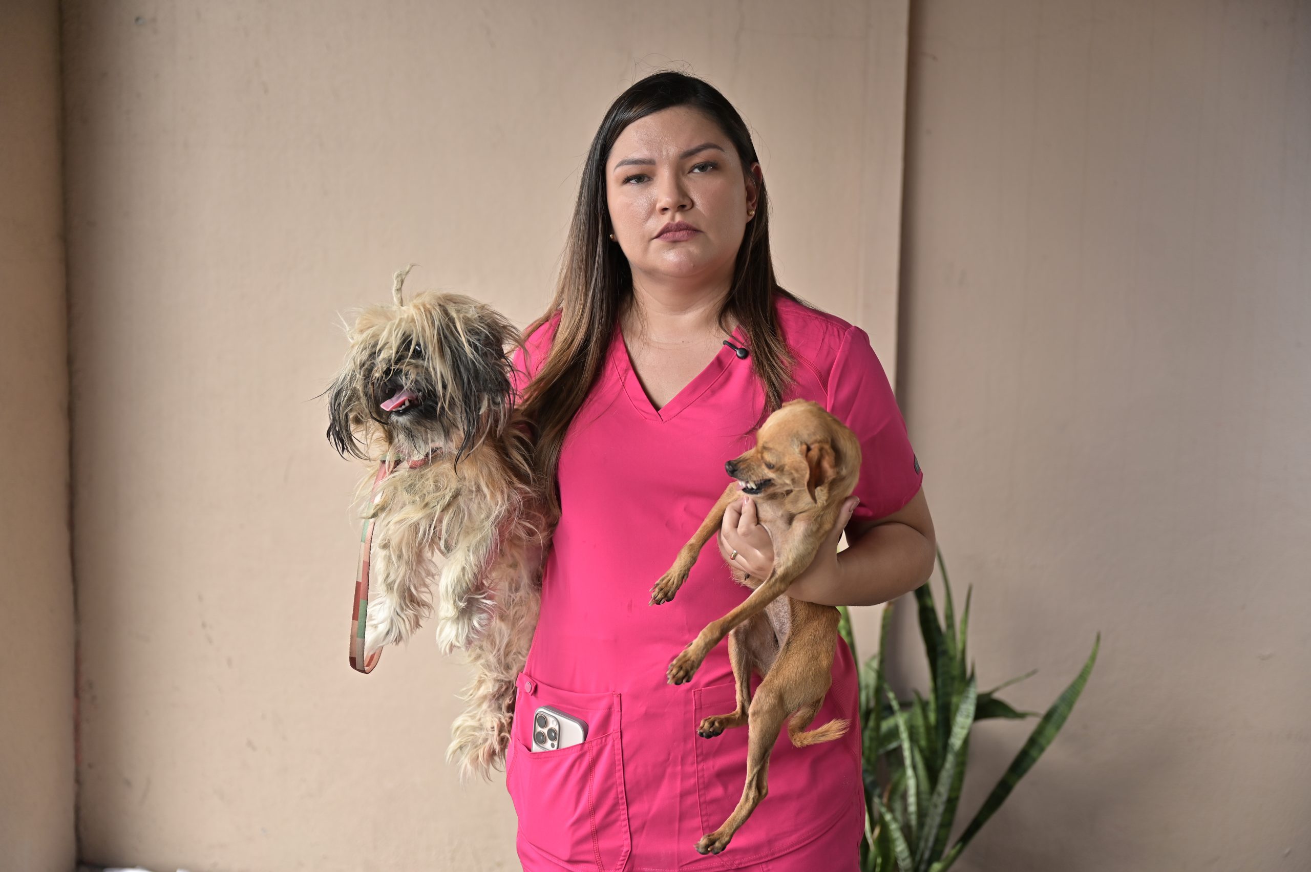 Deputada Joana Darc apresenta projeto que relaciona maus tratos aos animais a violencia domestica 1 scaled