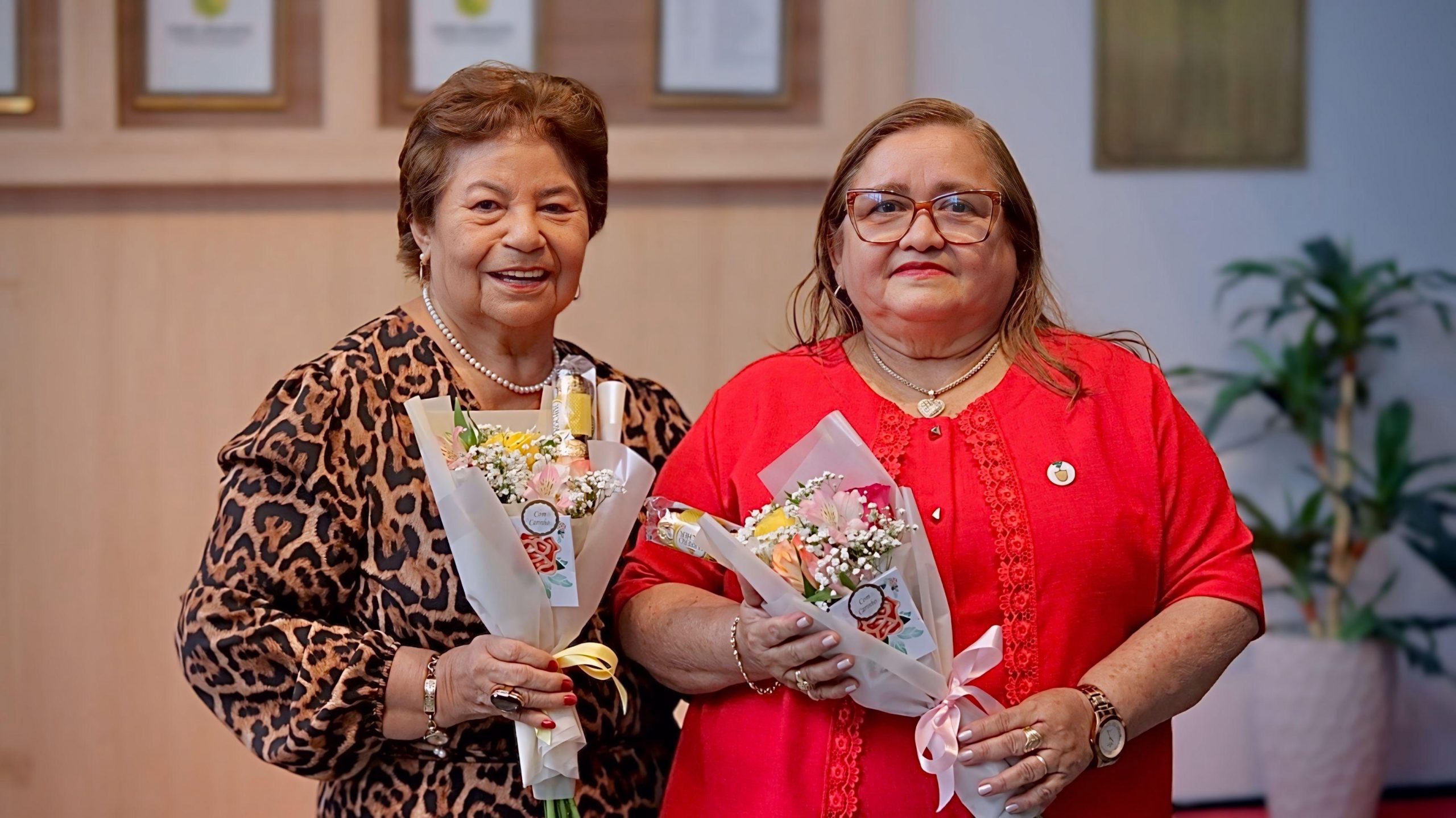 Deputado Carlinhos Bessa homenageia educadoras com a Medalha do Merito Educacional Professora Ignes de Vasconcellos Dias 1 scaled